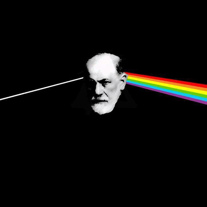 Pink Freud
